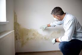 Mold Removal for HVAC Installations in Wyoming, OH